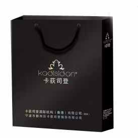 Luxus-Geschenktüte, kundenspezifische Papierverpackung, Einkaufstasche/Papiertüte für Kleidung