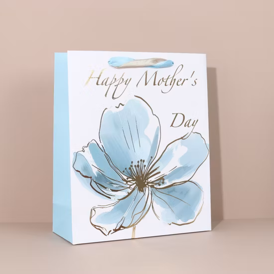 Fancy Paper Mattschwarze Papiertüte mit Seidengriff